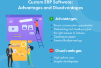 Custom erp software developer