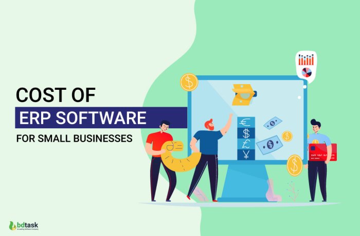 Erp software for small companies