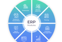 What does erp stand for in software