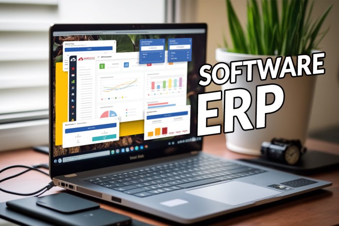 Erp software usage