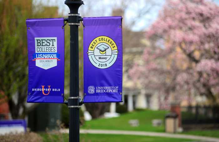 University of bridgeport reading program